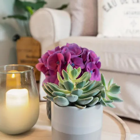 Apartment Altstadt Am Wasser Mit Grossem Garten *