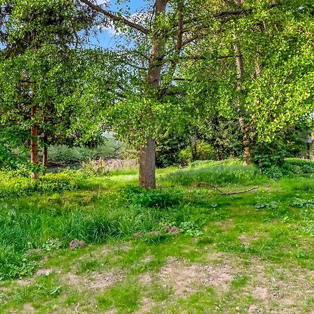 Altstadt Am Wasser Mit Parkplatz Und Grossem Garten Apartment