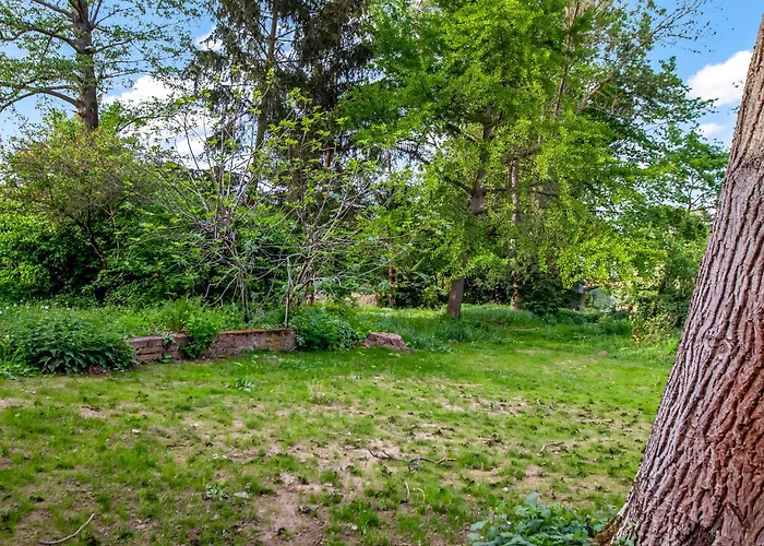 Appartement Altstadt Am Wasser Mit Grossem Garten Bad Kreuznach