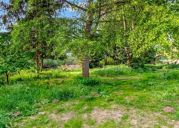 Altstadt Am Wasser Mit Grossem Garten Appartement